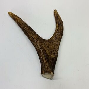 Naturally Shed Wild Moose Antler Horn Knife Carving Dog Chew Taxidermy Craft DIY
